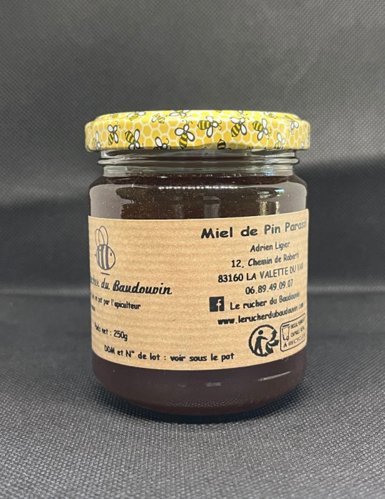 Miel de Pin Parasol - Liquide
